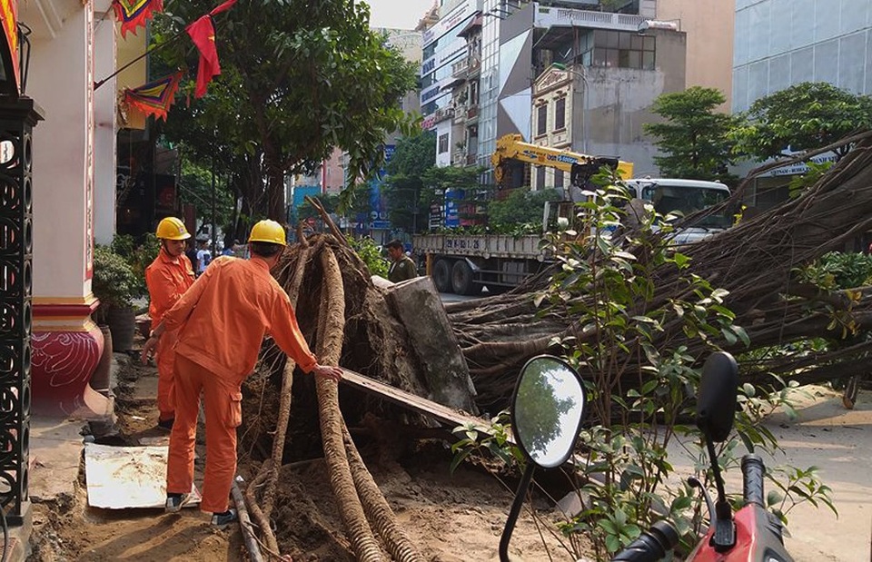Hà Nội: Cây đa cổ thụ đổ chắn ngang đường, nhiều người hốt hoảng - 1 Hà Nội: Cây đa cổ thụ đổ chắn ngang đường, nhiều người hốt hoảng - 1
