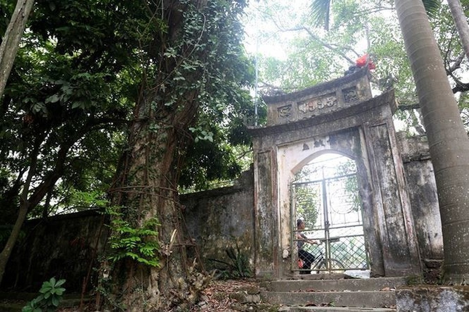 Chuyện ly kỳ cây sưa trăm tỷ: Áo giáp sắt bảo vệ khối 'vàng' lộ thiên - 1
Cây sưa trăm tỷ chùa làng Phụ Chính, xã Hòa Chính, huyện Chương Mỹ (Hà Nội).