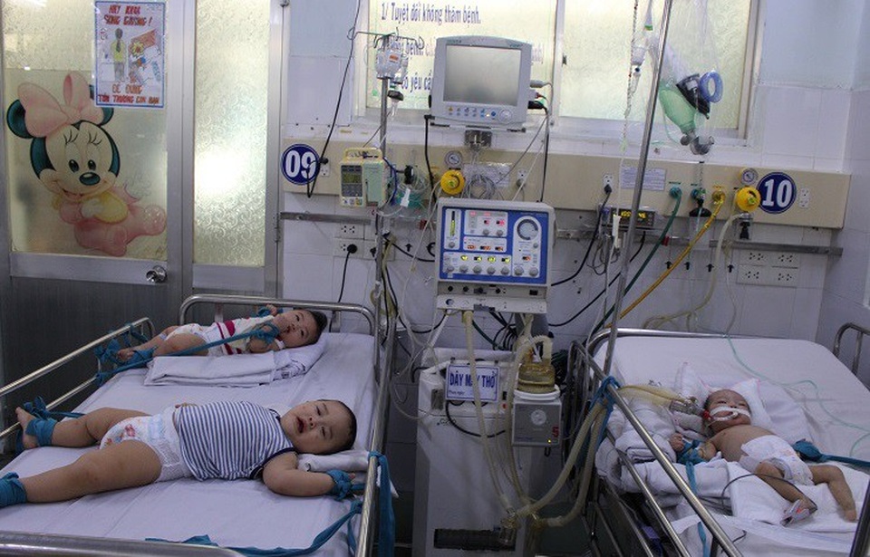 Nguy cơ tất cả trẻ nhỏ sẽ bị dịch tay chân miệng tấn công - 3 Cùng lúc có sự xuất hiện trở lại của 2 chủng vi rút nguy hiểm gây bệnh tay chân miệng