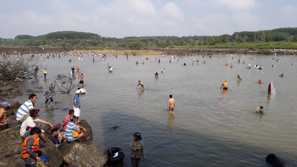 Thủy điện đóng cửa đập sau 1 tháng xả lũ, dân đổ xô đi bắt cá - 2 Khi mực nước ở khu vực chân đập cạn, hàng trăm người dân đổ xô lao xuống bắt cá