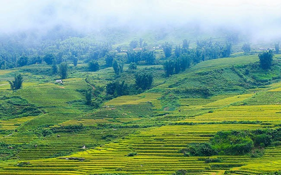 Y Tý mùa vàng - thắng cảnh ngoạn mục đất trời Tây Bắc mỗi độ Thu sang - 5