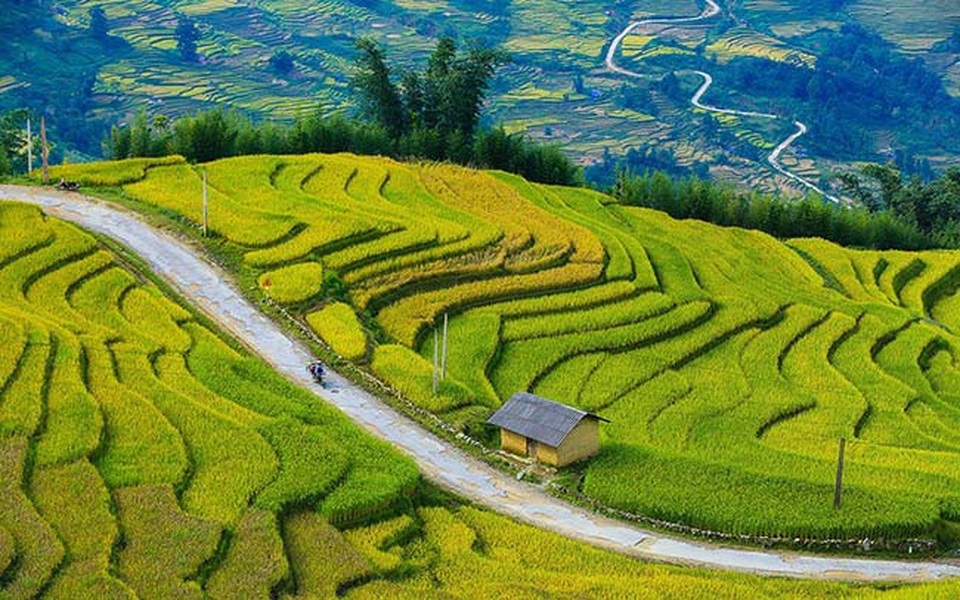 Y Tý mùa vàng - thắng cảnh ngoạn mục đất trời Tây Bắc mỗi độ Thu sang - 8