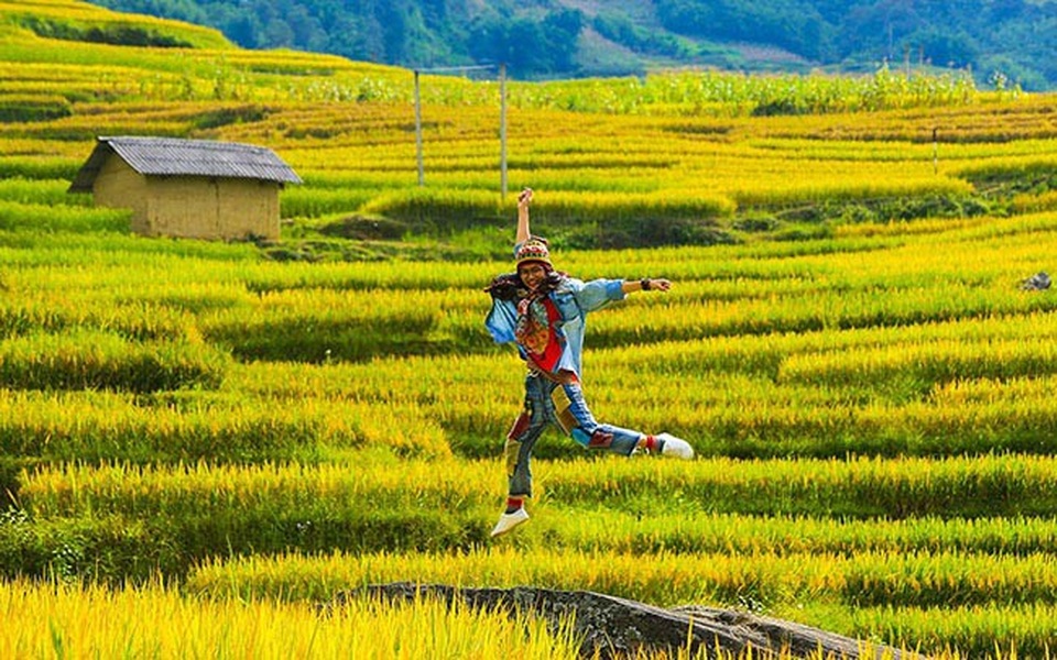 Y Tý mùa vàng - thắng cảnh ngoạn mục đất trời Tây Bắc mỗi độ Thu sang - 9