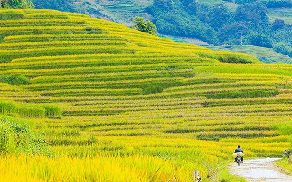 Y Tý mùa vàng - thắng cảnh ngoạn mục đất trời Tây Bắc mỗi độ Thu sang - 10