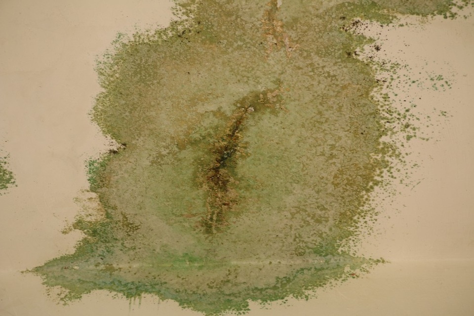 
Theo một số tiểu thương đang thuê ki ốt để kinh doanh trong chợ, nguyên nhân dẫn đến việc xuống cấp, thấm nước, bong tróc vữa là do nhiều nơi bị bỏ không trong thời gian dài.
