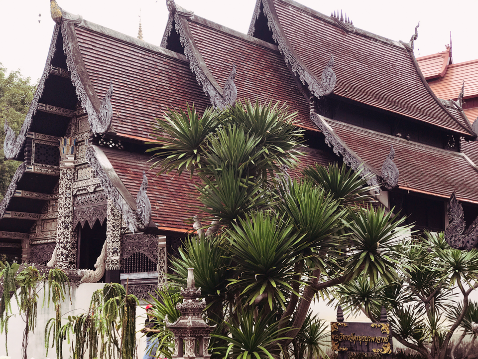 Ba ngôi chùa nổi tiếng ở Chiang Mai - Chiang Rai - 14
Wat Chedi Luang còn ẩn chứa nhiều điều kỳ lạ đối với du khách thập phương vì ngôi chùa lưu giữ xác của 3 vị sư đã tu đắc đạo tại ngôi chùa. Điều đặc biệt là các vị sư này đều ngồi trong tư thế thiền, da dẻ vẫn hồng hào, đôi mắt tinh anh như người còn sống.
