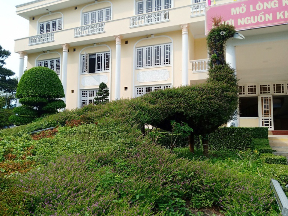 Cận cảnh cặp Phụng khổng lồ “đậu” trước sân UBND TP Sa Đéc! - 3 Khi hoa cẩm tú mai nở rộ, cặp Phụng trở nên rực rỡ