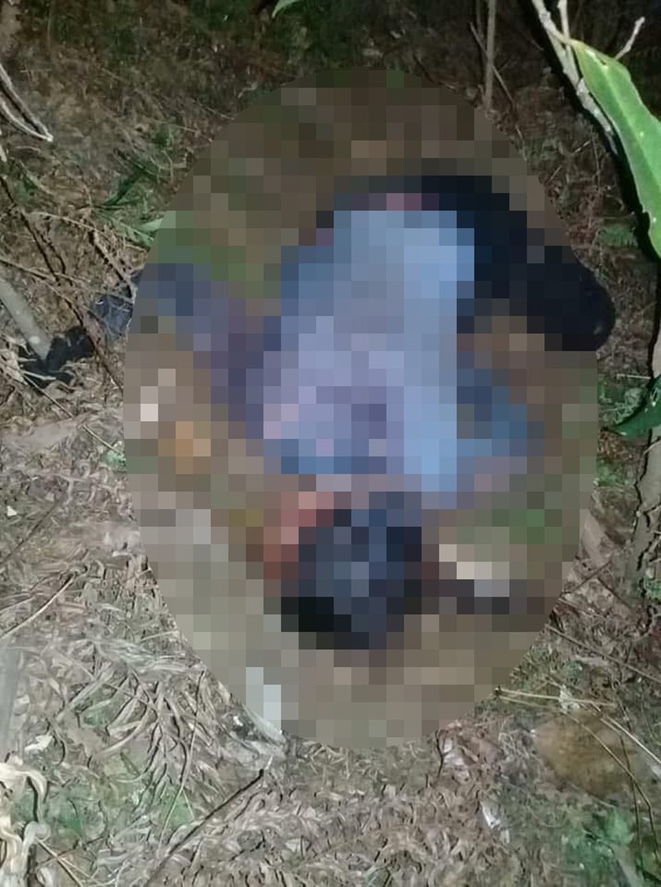 Nghi án chồng cũ giết vợ rồi treo cổ tự tử - 1
Bà S. được tìm thấy trên đồi quế gần nhà, thi thể có nhiều vết chém (Ảnh: CTV)