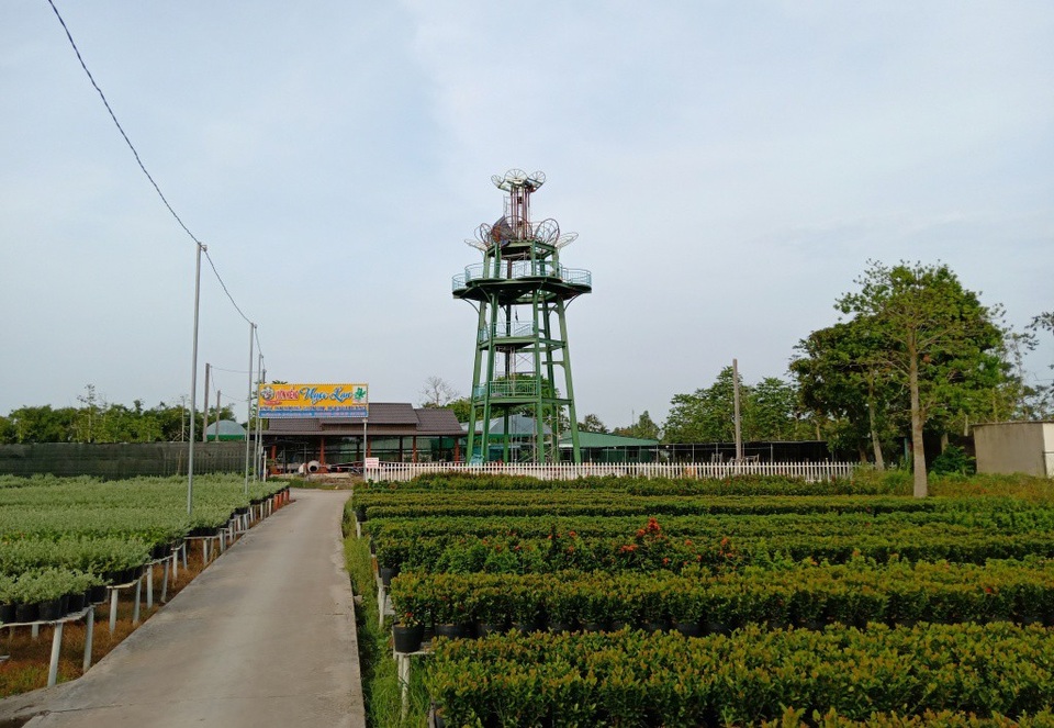 Tết này đến làng hoa Sa Đéc… tha hồ ngăm hoa từ trên cao - 1 Đài ngắm hoa này hứa hẹn sẽ là địa điểm check in lí thú của giới trẻ khi đến Làng hoa Sa Đéc