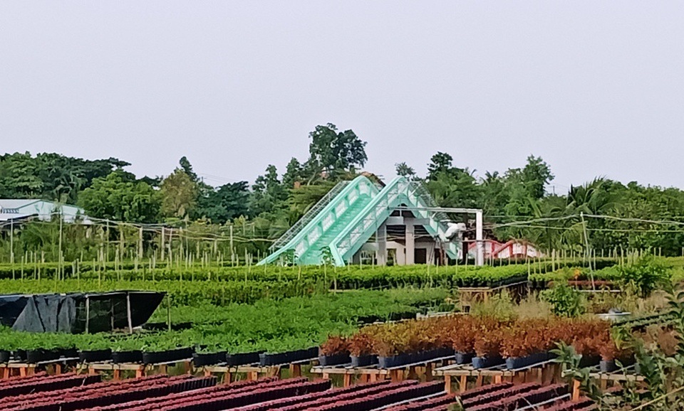 Tết này đến làng hoa Sa Đéc… tha hồ ngăm hoa từ trên cao - 2 Tại Làng hoa được đầu tư thêm nhiều công trình phục vụ khách tham quan, thỏa sức ngắm hoa và chụp hình lưu niệm