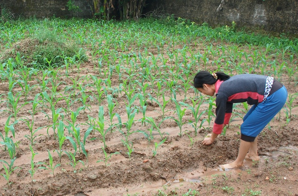 Bố mất, mẹ ốm đau, hai đứa trẻ mịt mờ tương lai - 9 Bố mất, mẹ ốm đau, hai đứa trẻ mịt mờ tương lai - 9
