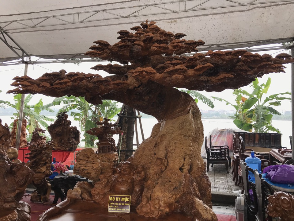 Hàng trăm người kéo nhau đến xem bộ ghế Kỳ Mộc tứ linh 3,8 tỷ đồng - 7
Cây tùng mất gần 5 tháng để hoàn thiện