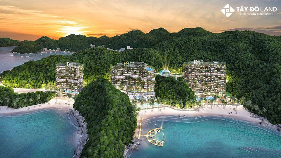 Du lịch Cát Bà: Thiếu hụt nguồn cung dịch vụ nghỉ dưỡng cao cấp - 2 Du lịch Cát Bà: Thiếu hụt nguồn cung dịch vụ nghỉ dưỡng cao cấp - 2