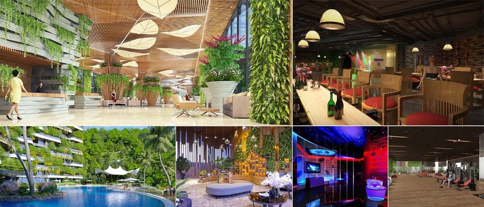 Du lịch Cát Bà: Thiếu hụt nguồn cung dịch vụ nghỉ dưỡng cao cấp - 3 Du lịch Cát Bà: Thiếu hụt nguồn cung dịch vụ nghỉ dưỡng cao cấp - 3