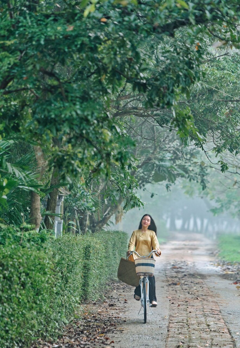 Tất cả sẽ được khắc họa một cách rõ nét những chuẩn mực văn hóa - ẩm thực cố đô Huế và cả văn hóa du lịch, phong cách sống cùng những giá trị văn hóa đậm chất cung đình.