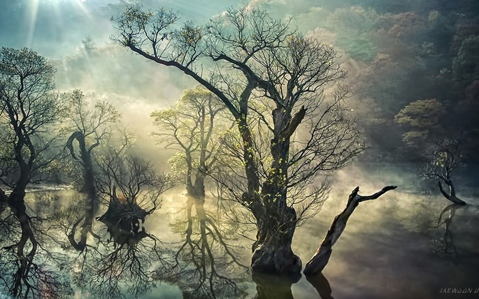 Ngỡ ngàng cảnh đẹp như chốn thần tiên ở Hàn Quốc - 13