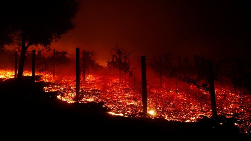 California thuê tù nhân dập cháy rừng thảm khốc nhất trong lịch sử - 1 Cháy rừng gần như thiêu rụi những khu vực ngọn lửa lan tới (Ảnh: Reuters)