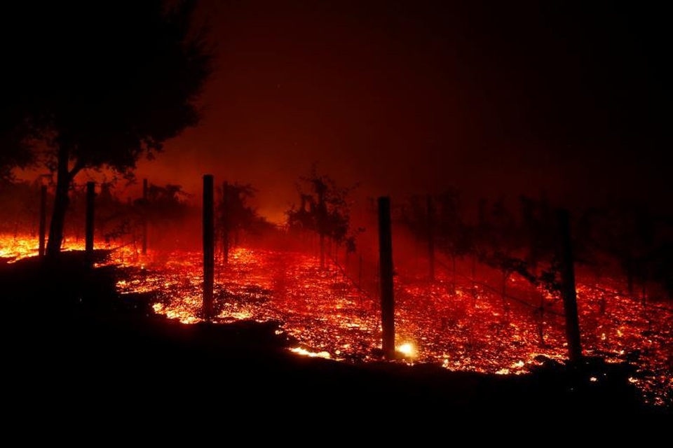 Thoát chết khỏi “biển lửa” cháy rừng ở California nhờ chạy theo cáo - 2 Thoát chết khỏi “biển lửa” cháy rừng ở California nhờ chạy theo cáo - 2