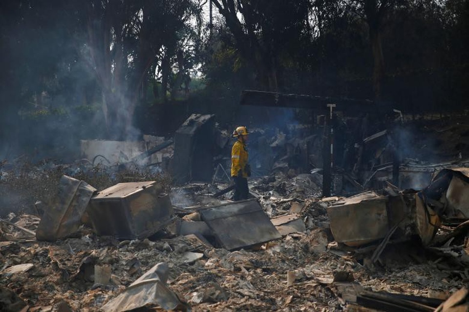 Thoát chết khỏi “biển lửa” cháy rừng ở California nhờ chạy theo cáo - 3 Thoát chết khỏi “biển lửa” cháy rừng ở California nhờ chạy theo cáo - 3