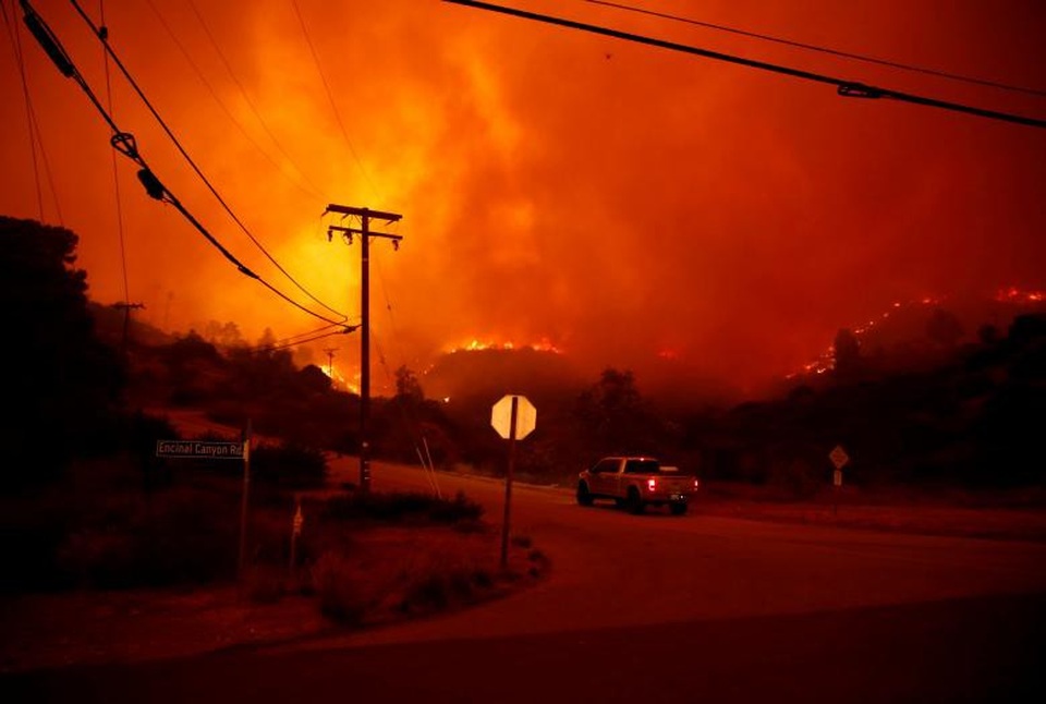 Thoát chết khỏi “biển lửa” cháy rừng ở California nhờ chạy theo cáo - 8 Thoát chết khỏi “biển lửa” cháy rừng ở California nhờ chạy theo cáo - 8