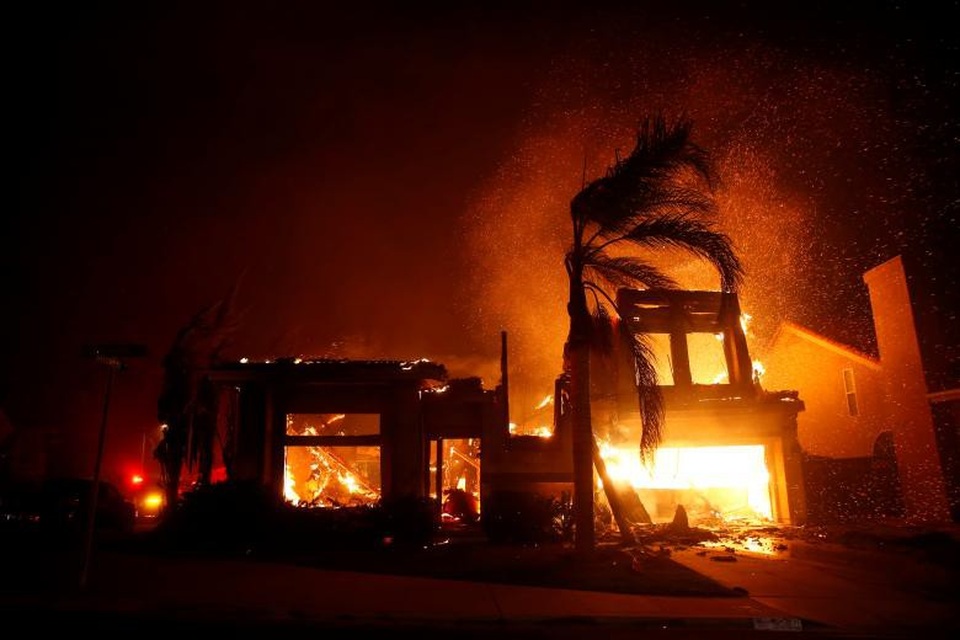 Thoát chết khỏi “biển lửa” cháy rừng ở California nhờ chạy theo cáo - 10 Thoát chết khỏi “biển lửa” cháy rừng ở California nhờ chạy theo cáo - 10