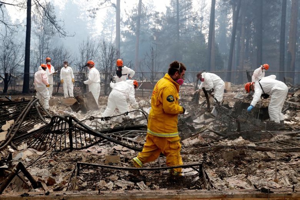 Thoát chết khỏi “biển lửa” cháy rừng ở California nhờ chạy theo cáo - 11 Thoát chết khỏi “biển lửa” cháy rừng ở California nhờ chạy theo cáo - 11
