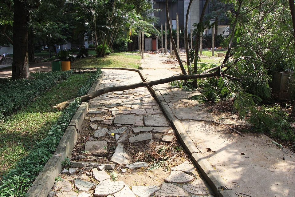 Công viên lọt top "đẹp nhất Hà Nội" ngập ngụa rác thải - 3 Công viên lọt top "đẹp nhất Hà Nội" ngập ngụa rác thải - 3