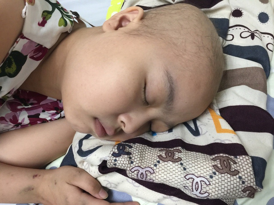Tình cảnh đáng thương của cô bé dân tộc Sán Dìu bị ung thư máu - 5 Em nuôi ước mơ được đi du học, đó chính là động lực giúp em cố gắng vượt qua bạo bệnh.