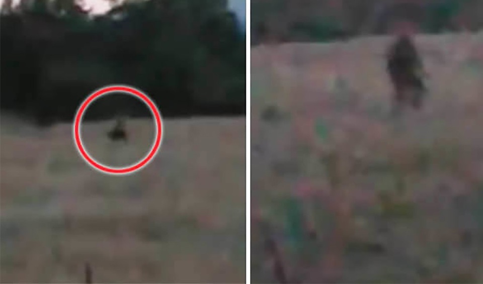 Quái vật chân to Bigfoot huyền thoại xuất hiện ở Mỹ - 1 Hình ảnh được cho là “quái vật chân to” mới phát hiện tại Mỹ.