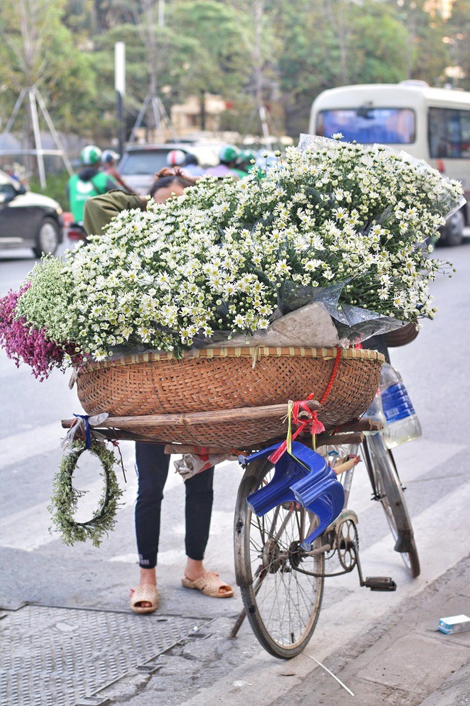 Chỉ cần 1 buổi chiều dạo quanh phố có thể dễ dàng bắt gặp những gánh hàng rong chở đầy cúc họa mi như thế này.