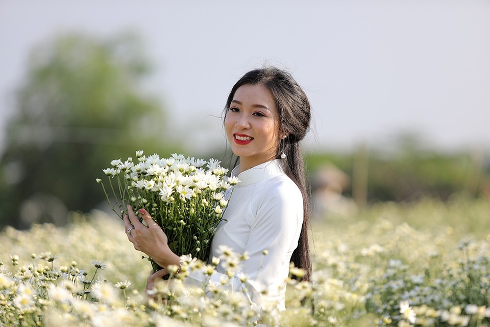 Nữ sinh Hà Nội khoe sắc bên cúc hoạ mi - 4
Nguyễn Thu Trang, Hoa khôi sinh viên Hà Nội 2017 (IMiss Thăng Long), bên cúc họa mi đầu mùa.
