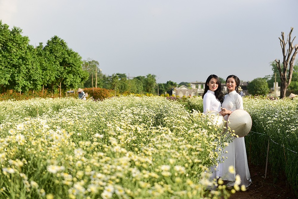Nữ sinh Hà Nội khoe sắc bên cúc hoạ mi - 10
Cùng với Thu Trang, dàn hoa khôi sinh viên Hà Nội cũng cùng nhau khoe dáng.