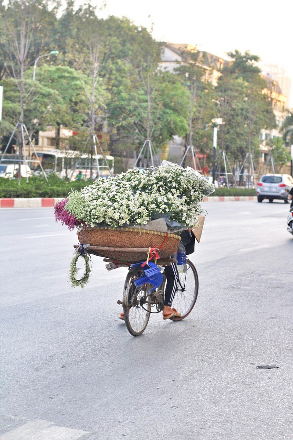 Thời điểm hiện tại, cúc họa mi đã vào chính vụ và bung nở những cánh hoa đẹp nhất. Những gánh hàng rong trở thành tâm điểm giữa phố phường đông đúc
