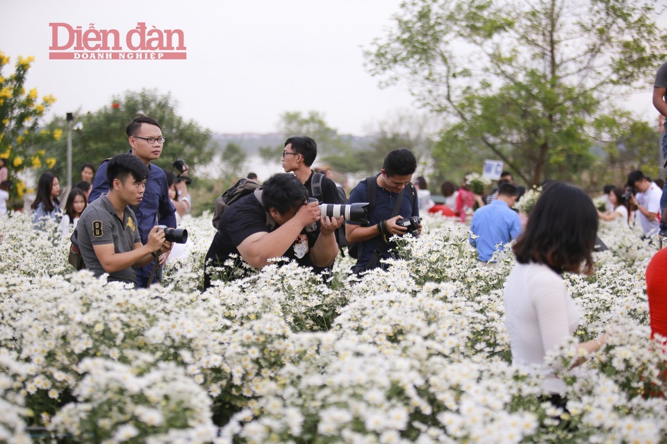 Nhà vườn thu cả chục triệu đồng mỗi ngày nhờ cúc hoạ mi vào vụ - 11
Qua tìm hiểu của phóng viên, ở tại các vườn hoa đều có những dịch vụ thuê nháy, trang điểm và trang phục. Giá của nháy dao động từ 300.000 đến 500.000 đồng/ bộ ảnh.