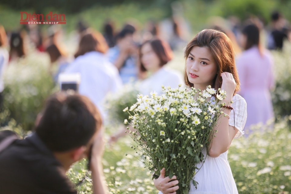 Nhà vườn thu cả chục triệu đồng mỗi ngày nhờ cúc hoạ mi vào vụ - 3
Các bạn trẻ tạo dáng bên những bó hoa cúc, lưu lại những khoảnh khắc đẹp.