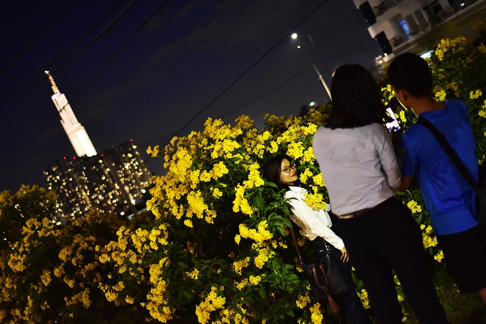 “Sửng sốt” với hàng hoa chuông vàng ở Thủ Thiêm - 4 Chính vì vậy mà trời cũng tắt nắng, các bạn phải nhờ ánh đèn flash hỗ trợ