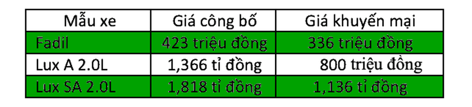 Xe VinFast chính thức ra mắt tại Việt Nam, giá từ 423 triệu đồng - 6 Xe VinFast chính thức ra mắt tại Việt Nam, giá từ 423 triệu đồng - 6