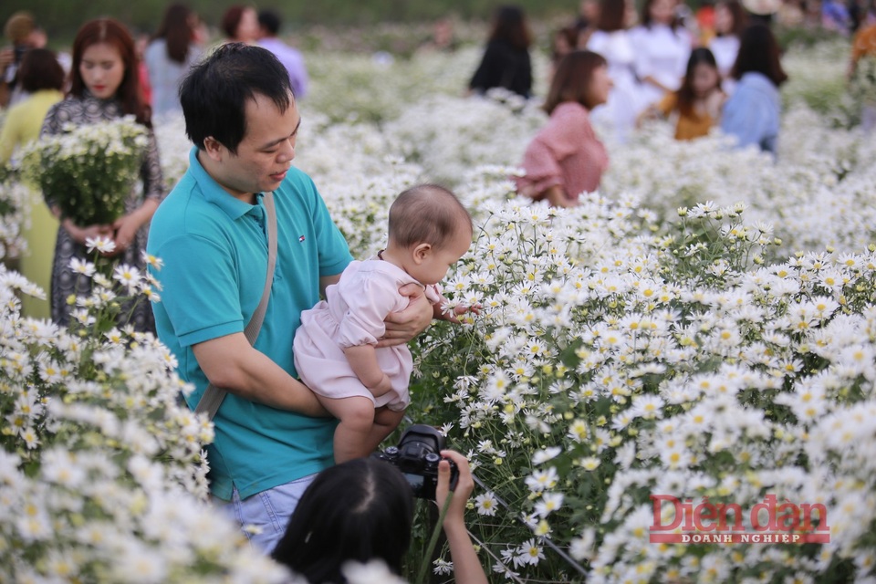 Nhà vườn thu cả chục triệu đồng mỗi ngày nhờ cúc hoạ mi vào vụ - 7
Không chỉ các bạn trẻ, các gia đình cũng đưa con cái của họ đến để lưu giữ những khoảnh khắc. Anh Cường cho biết, anh và gia đình cũng thường xuyên ra các vườn hoa để chụp ảnh, địa điểm vườn hoa gần sông nên mát mẻ dễ chịu. Giá vé vào cửa cũng không quá cao để gia đình đi chơi cuối tuần.
