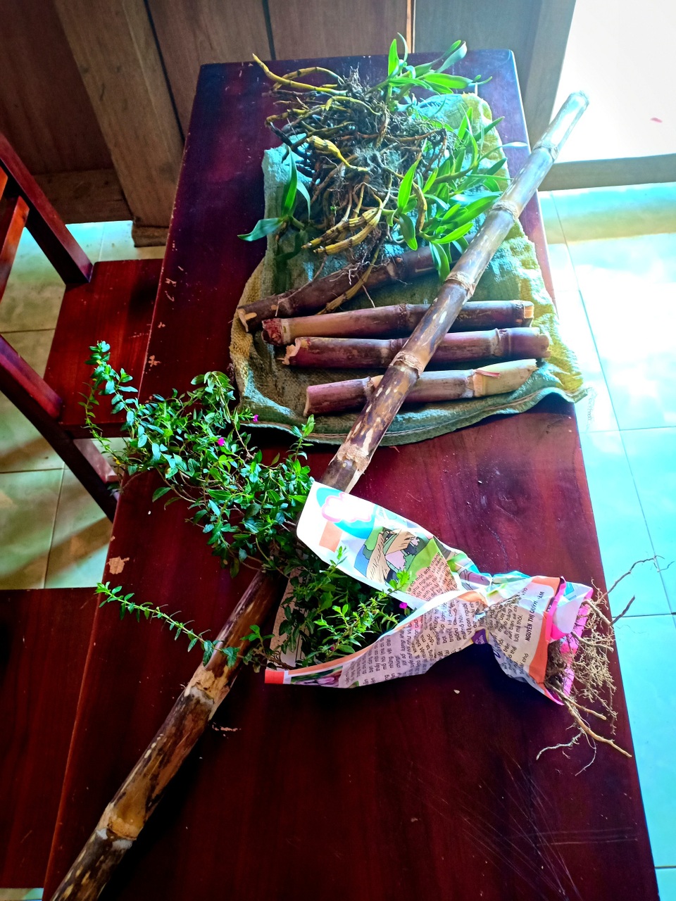 Hồn nhiên những món quà muộn của học sinh vùng cao tặng cô giáo - 6 Sản vật núi rừng được các cháu gói cẩn thận dù không phải là những hộp quà xinh xắn