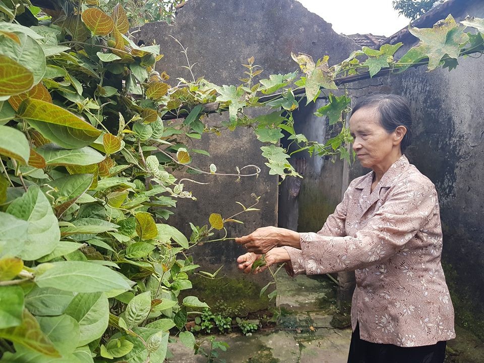 Bà cụ mù lòa sống cô độc với nỗi lo "chết không ai làm đám tang" - 4 Bị mù từ ngày còn nhỏ, mọi việc sinh hoạt bà Ốc tự làm hết.
