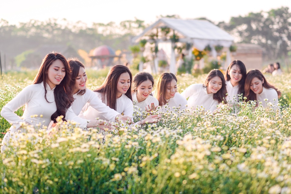 Nữ sinh Hà Nội khoe sắc bên cúc hoạ mi - 2
Thiếu nữ với áo dài cùng cúc hoạ mi trắng.