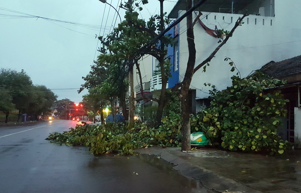 Lên phương án di dời hàng trăm hộ dân để ứng phó với bão số 9 - 5 Cây cối tại TP. Tuy Hòa được cắt tỉa