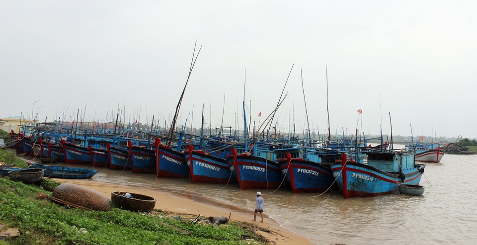 Lên phương án di dời hàng trăm hộ dân để ứng phó với bão số 9 - 2 Tàu thuyền được đưa vào neo đậu tại Phường Phú Đông (TP. Tuy Hòa) để trốn tránh bão