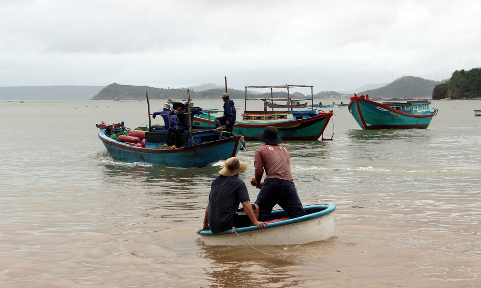 Lên phương án di dời hàng trăm hộ dân để ứng phó với bão số 9 - 6 Người nuôi tôm hùm TX. Sông Cầu tiến hành gia cố, hạ lồng nuôi để tránh sóng, gió