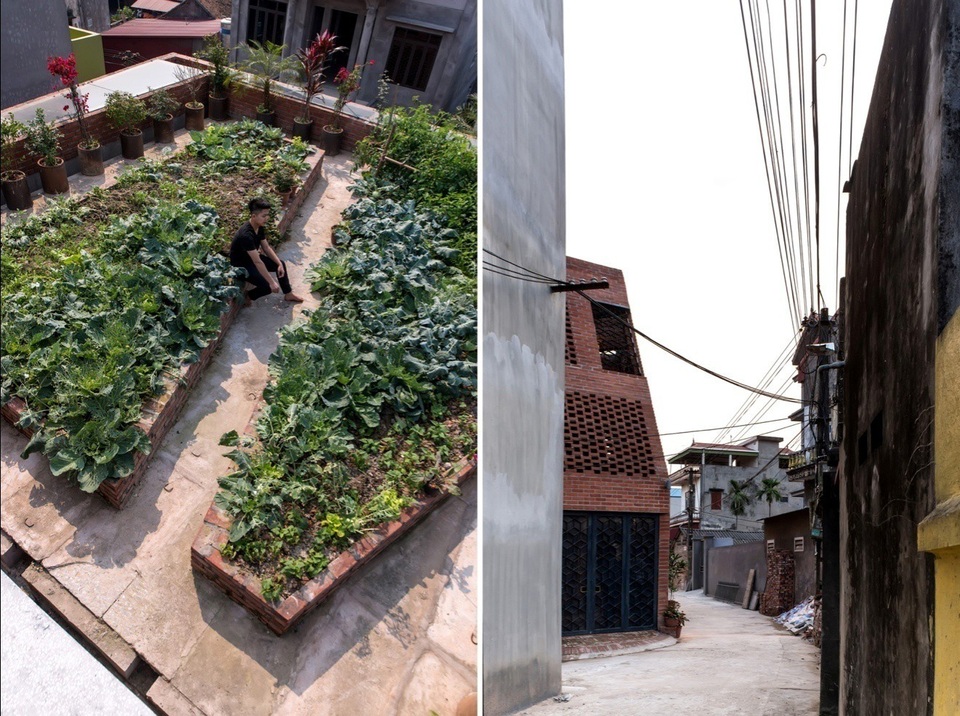 Nhà Hang Gạch nhận giải WAN ngôi nhà của năm 2018 - 16