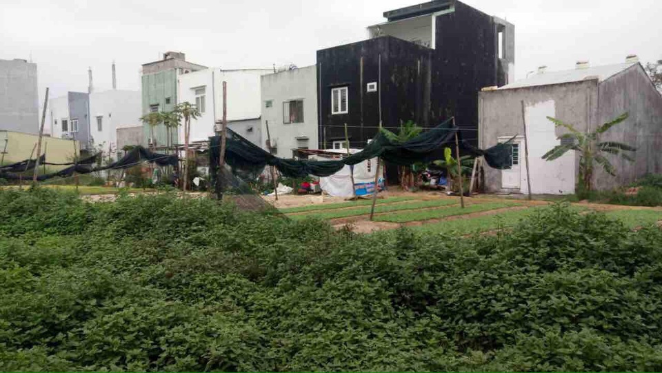 Chuyên gia luật: Đà Nẵng hủy kết quả đấu giá đất là sai luật, đẩy DN vào phá sản - 1 Một trong những khu đất mà người dân đấu giá trúng ở Đà Nẵng nhưng cũng bị hủy kết quả đấu giá như trường hợp của Vipico. (Ảnh: Hồng Vân)