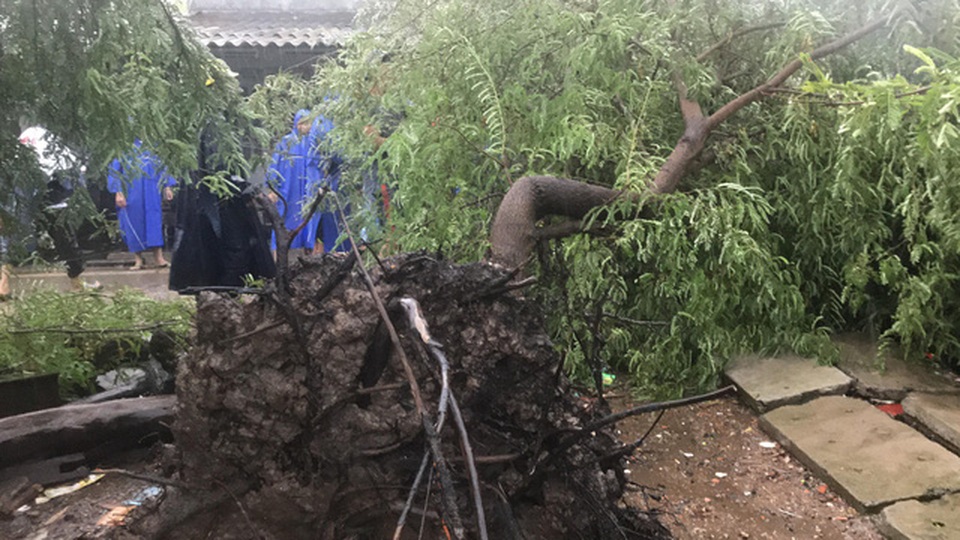 TPHCM và Vũng Tàu mưa to, gió lớn, sóng biển mạnh - 5