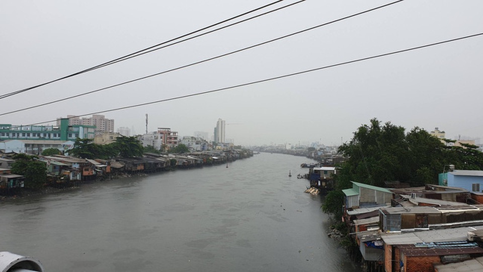 Bão số 9 đổ bộ vào đất liền, nhiều cây gãy đổ tại Vũng Tàu - 21
Ở ngoại thành, mưa suốt ngày nhưng không lớn