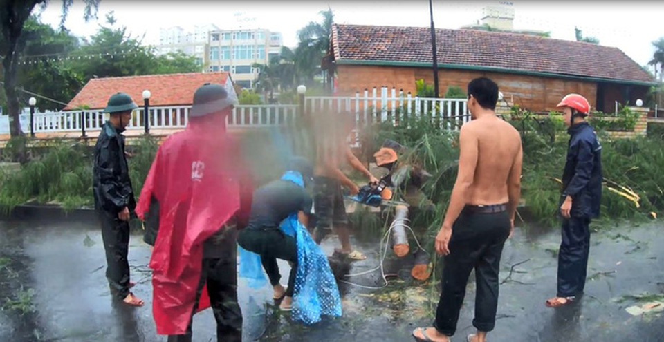 Bão số 9 đổ bộ vào đất liền, nhiều cây gãy đổ tại Vũng Tàu - 25
Xử lý cây xanh ngã đổ ở Vũng Tàu