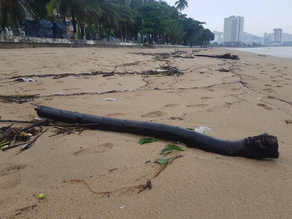 Nha Trang: Bãi biển bị rác từ thượng nguồn "tấn công" sau mưa lũ - 3 Nha Trang: Bãi biển bị rác từ thượng nguồn "tấn công" sau mưa lũ - 3